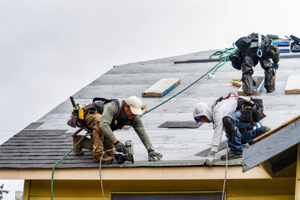 Professional Gutter Installation technician working in Caledonia, MN