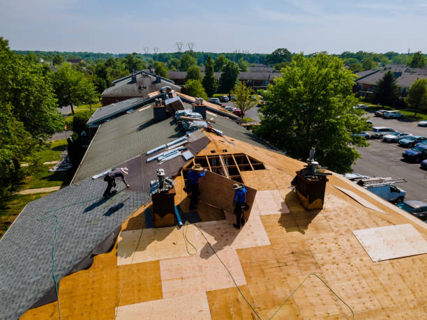 Trusted Roof Replacement service in Caledonia, MN - Brentwood Metal Roofing